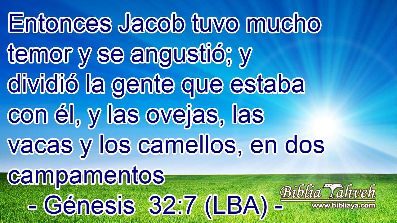 Entonces Jacob tuvo mucho temor y se angustió; y dividió la gente que estaba con él, y las ovejas, las vacas y los camellos, en dos campamentos