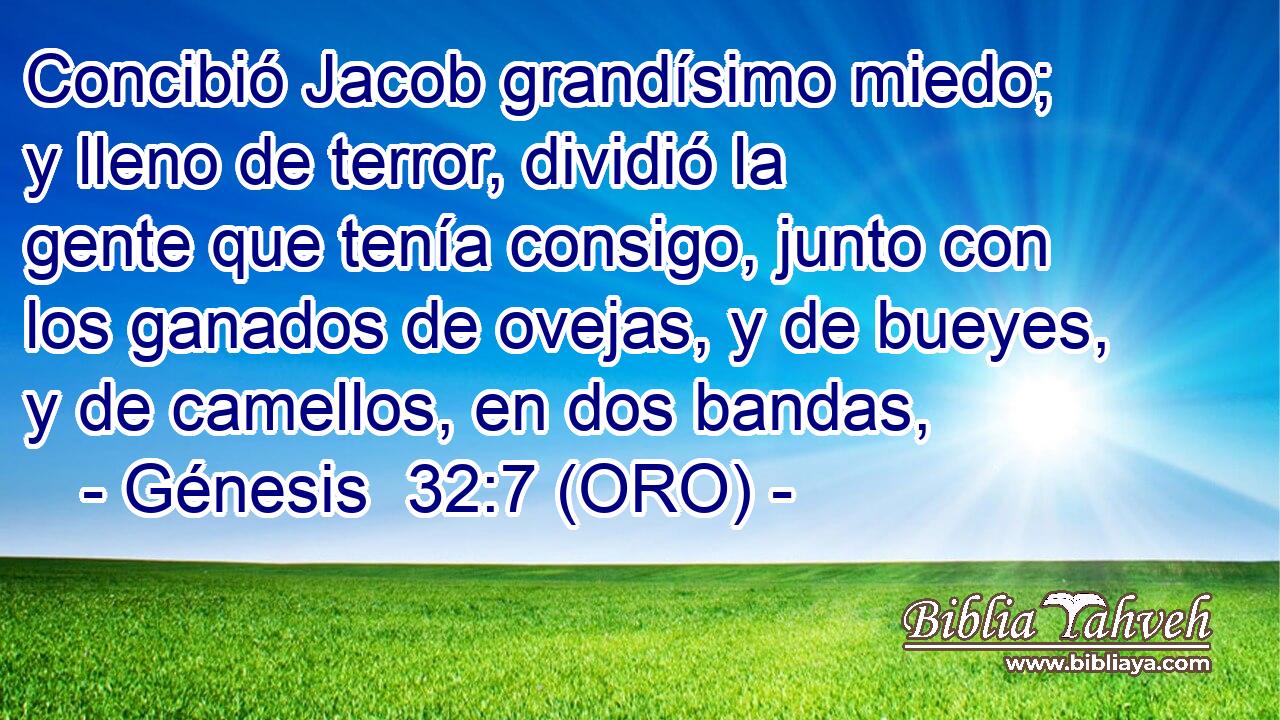  Concibió Jacob grandísimo miedo; y lleno de terror, dividió la gente que tenía consigo, junto con los ganados de ovejas, y de bueyes, y de camellos, en dos bandas, 