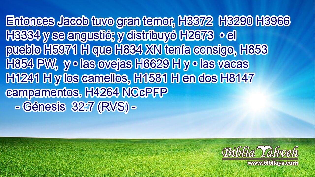Entonces Jacob tuvo gran temor, H3372  H3290 H3966 H3334 y se angustió; y distribuyó H2673  • el pueblo H5971 H que H834 XN tenía consigo, H853 H854 PW,  y • las ovejas H6629 H y • las vacas H1241 H y los camellos, H1581 H en dos H8147  campamentos. H4264 NCcPFP 