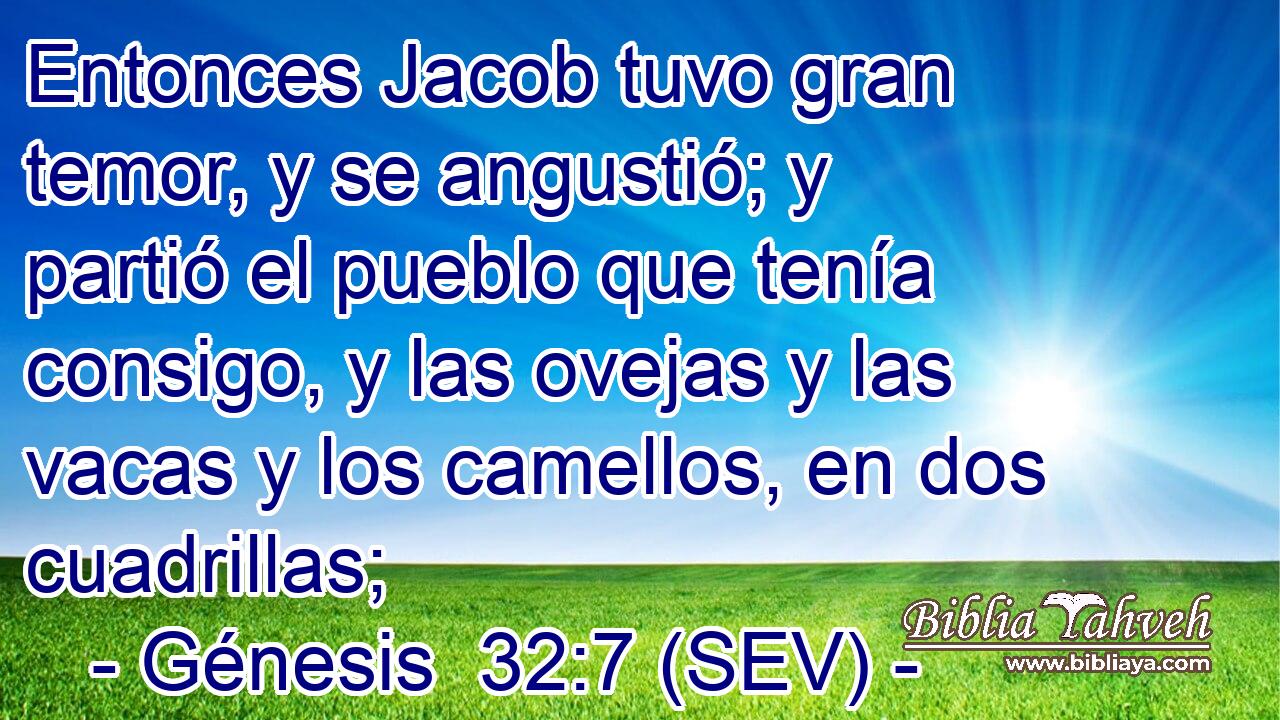 Entonces Jacob tuvo gran temor, y se angustió; y partió el pueblo que tenía consigo, y las ovejas y las vacas y los camellos, en dos cuadrillas;