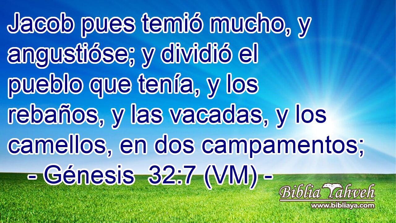  Jacob pues temió mucho, y angustióse; y dividió el pueblo que tenía, y los rebaños, y las vacadas, y los camellos, en dos campamentos; 