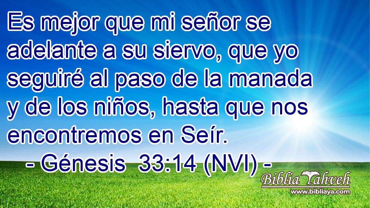  Es mejor que mi señor se adelante a su siervo, que yo seguiré al paso de la manada y de los niños, hasta que nos encontremos en Seír. 