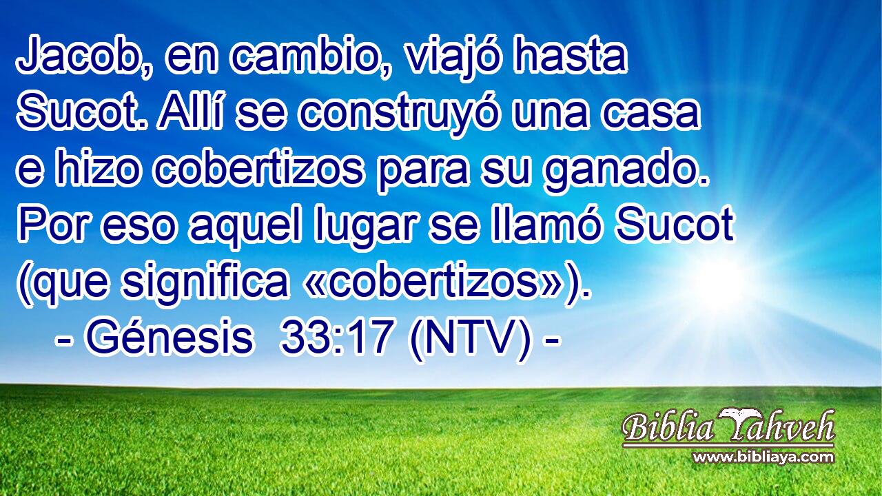 Jacob, en cambio, viajó hasta Sucot. Allí se construyó una casa e hizo cobertizos para su ganado. Por eso aquel lugar se llamó Sucot (que significa «cobertizos»).