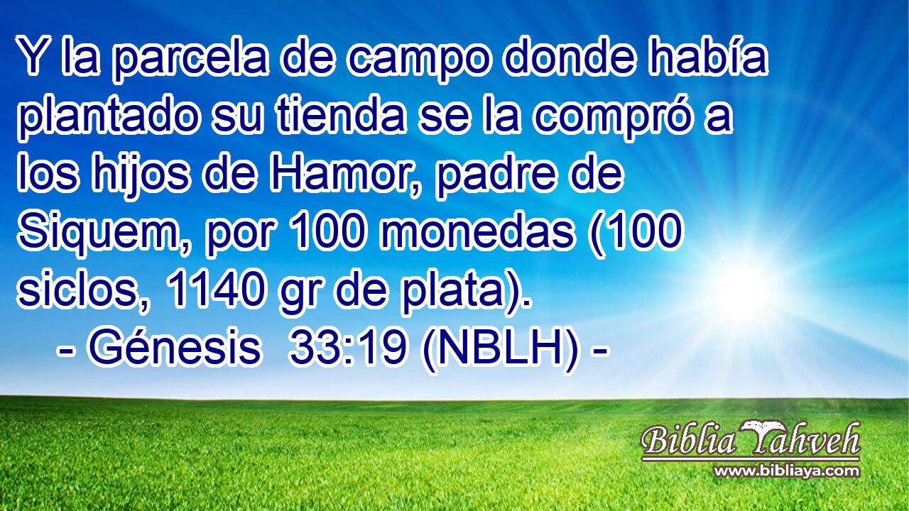  Y la parcela de campo donde había plantado su tienda se la compró a los hijos de Hamor, padre de Siquem, por 100 monedas (100 siclos, 1140 gr de plata). 