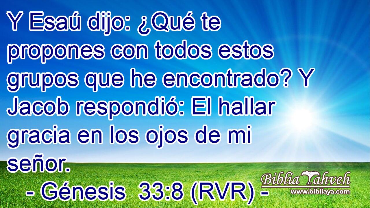 Y Esaú dijo: ¿Qué te propones con todos estos grupos que he encontrado? Y Jacob respondió: El hallar gracia en los ojos de mi señor.