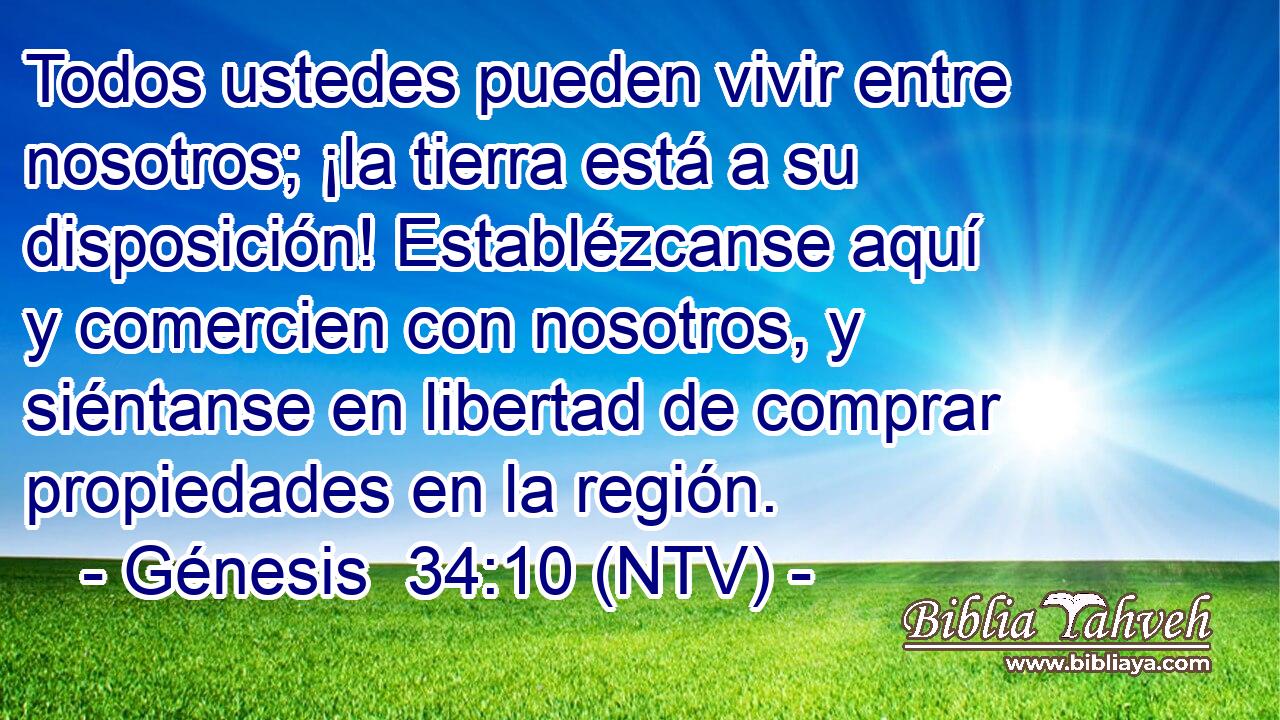Todos ustedes pueden vivir entre nosotros; ¡la tierra está a su disposición! Establézcanse aquí y comercien con nosotros, y siéntanse en libertad de comprar propiedades en la región.