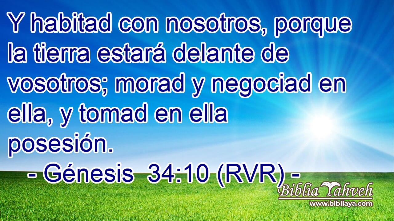 Y habitad con nosotros, porque la tierra estará delante de vosotros; morad y negociad en ella, y tomad en ella posesión.