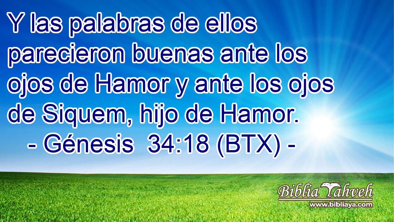 Y las palabras de ellos parecieron buenas ante los ojos de Hamor y ante los ojos de Siquem, hijo de Hamor.
