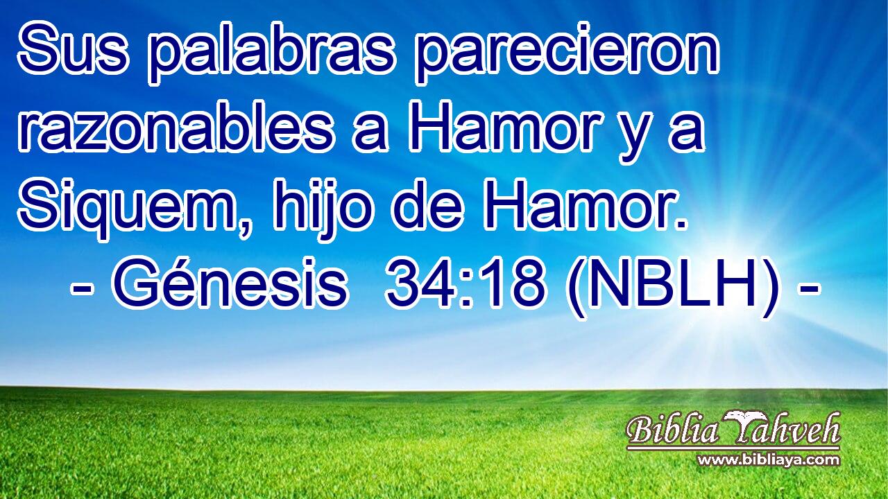  Sus palabras parecieron razonables a Hamor y a Siquem, hijo de Hamor. 