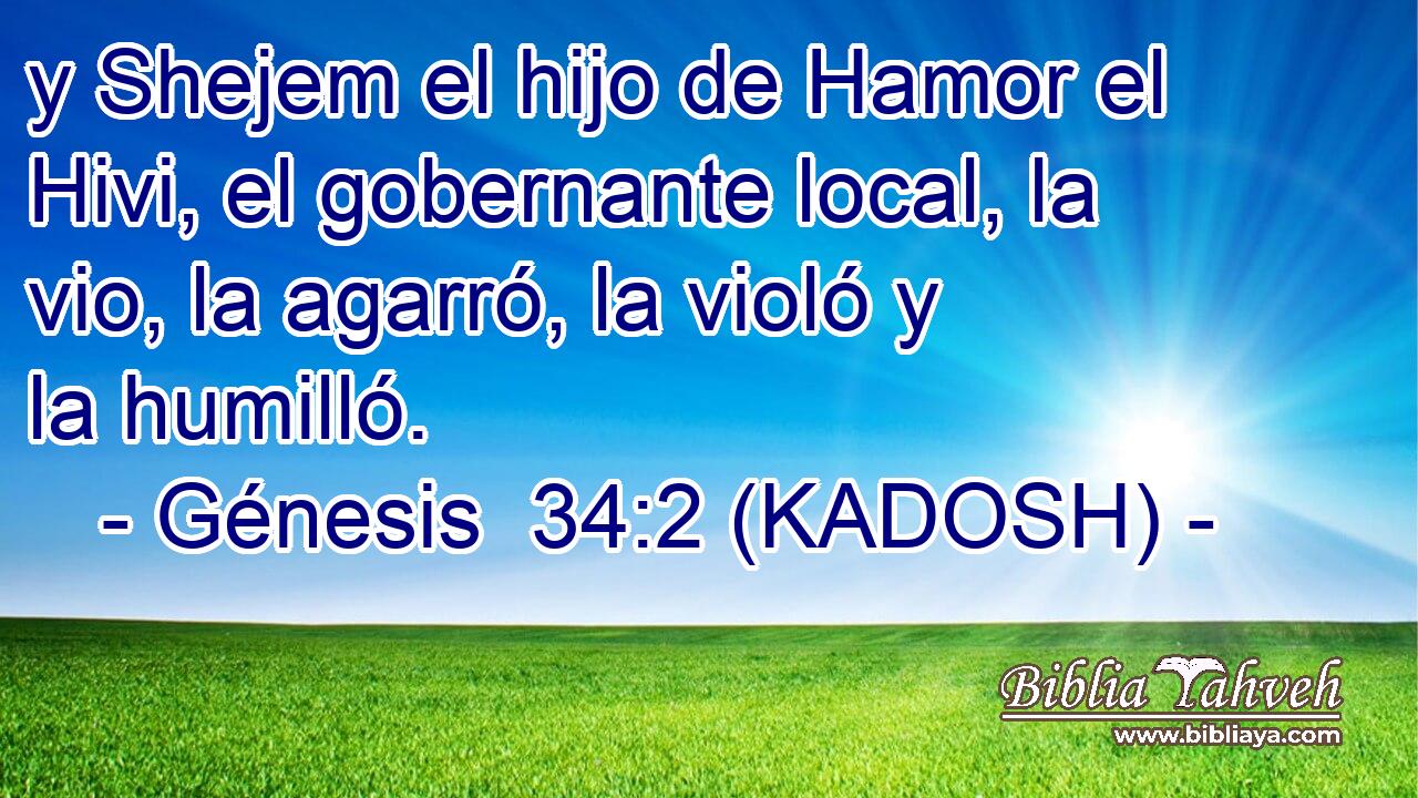  y Shejem el hijo de Hamor el Hivi, el gobernante local, la vio, la agarró, la violó y la humilló. 