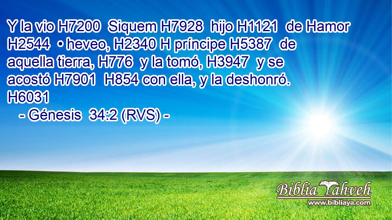 Y la vio H7200  Siquem H7928  hijo H1121  de Hamor H2544  • heveo, H2340 H príncipe H5387  de aquella tierra, H776  y la tomó, H3947  y se acostó H7901  H854 con ella, y la deshonró. H6031  