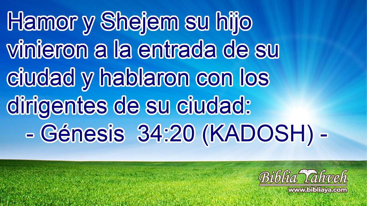  Hamor y Shejem su hijo vinieron a la entrada de su ciudad y hablaron con los dirigentes de su ciudad: 
