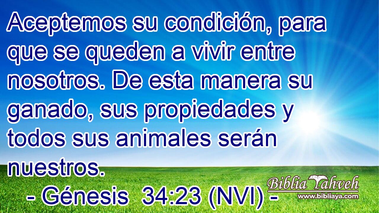  Aceptemos su condición, para que se queden a vivir entre nosotros. De esta manera su ganado, sus propiedades y todos sus animales serán nuestros. 