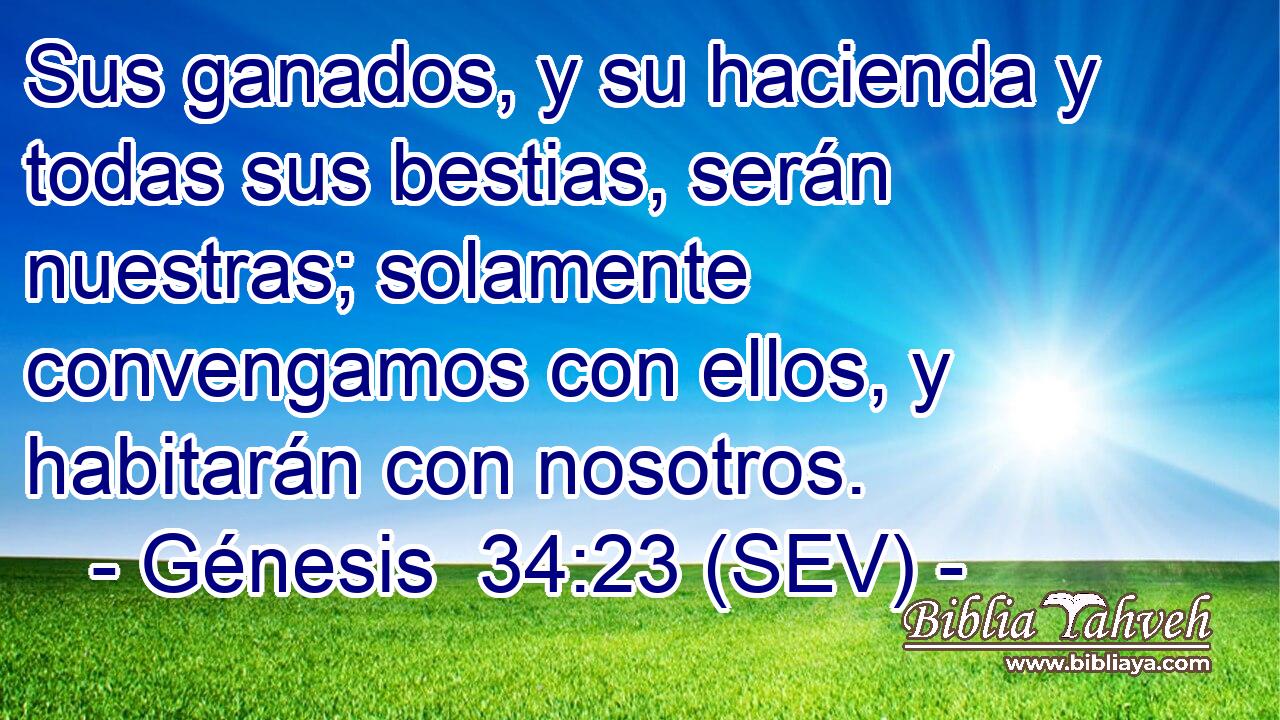 Sus ganados, y su hacienda y todas sus bestias, serán nuestras; solamente convengamos con ellos, y habitarán con nosotros.