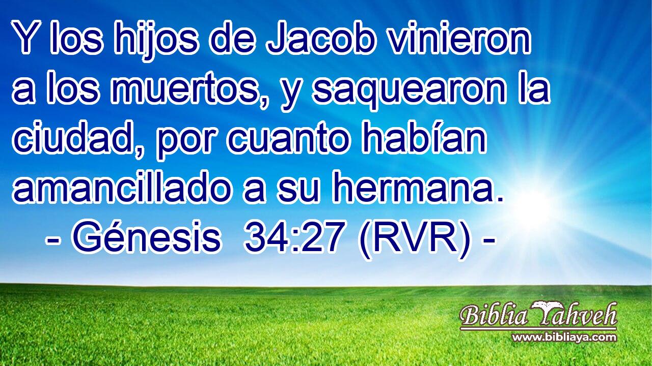 Y los hijos de Jacob vinieron a los muertos, y saquearon la ciudad, por cuanto habían amancillado a su hermana.