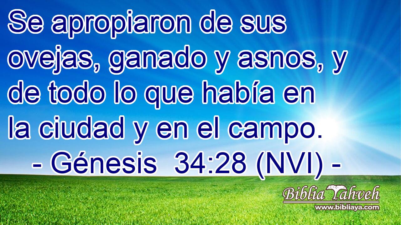  Se apropiaron de sus ovejas, ganado y asnos, y de todo lo que había en la ciudad y en el campo. 