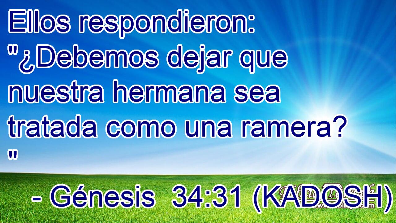  Ellos respondieron: 