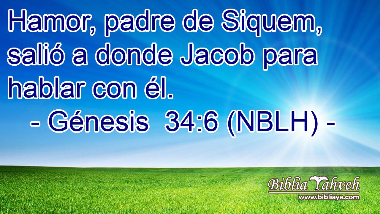  Hamor, padre de Siquem, salió a donde Jacob para hablar con él. 