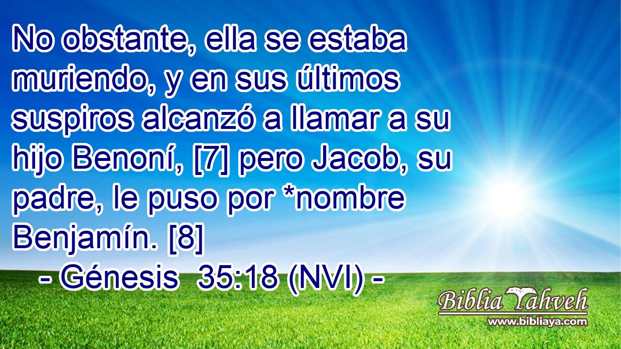  No obstante, ella se estaba muriendo, y en sus últimos suspiros alcanzó a llamar a su hijo Benoní, [7] pero Jacob, su padre, le puso por *nombre Benjamín. [8] 