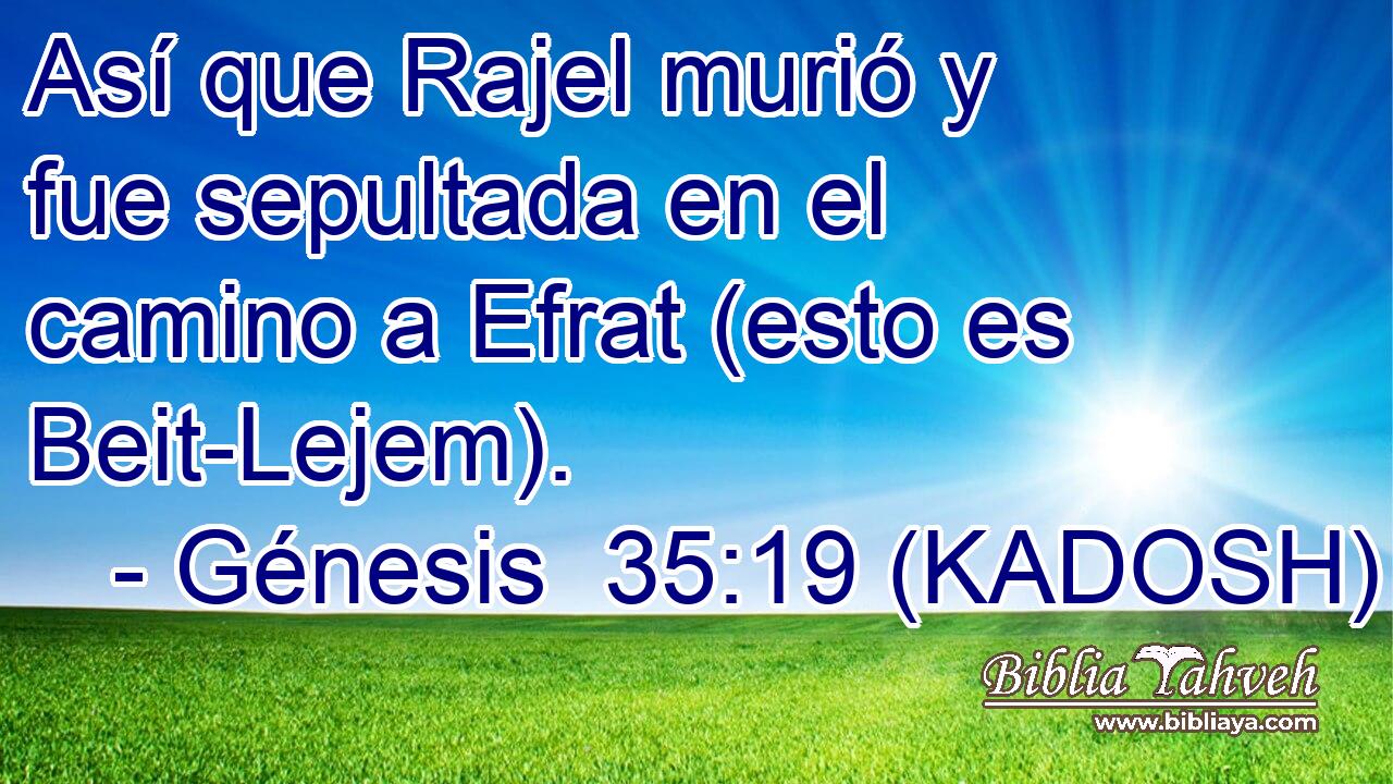  Así que Rajel murió y fue sepultada en el camino a Efrat (esto es Beit-Lejem). 