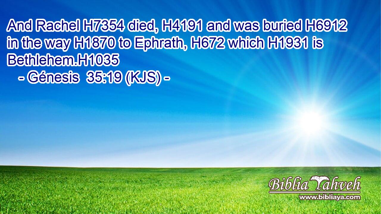 And Rachel H7354 died, H4191 and was buried H6912 in the way H1870 to Ephrath, H672 which H1931 is Bethlehem.H1035