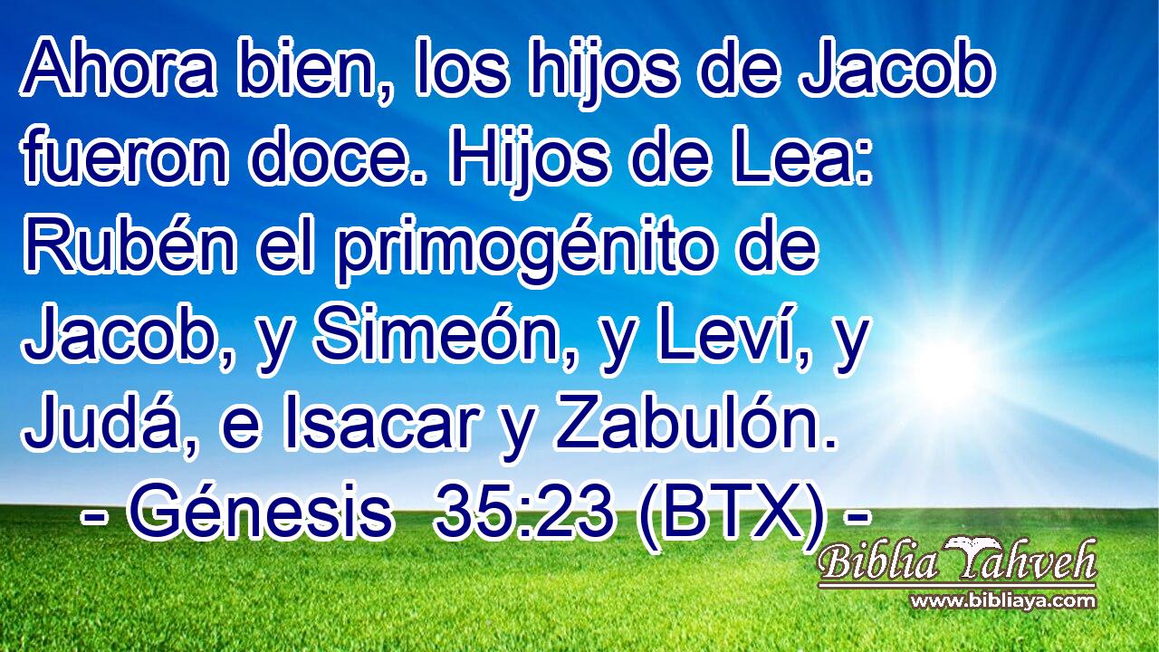 Ahora bien, los hijos de Jacob fueron doce. Hijos de Lea: Rubén el primogénito de Jacob, y Simeón, y Leví, y Judá, e Isacar y Zabulón.