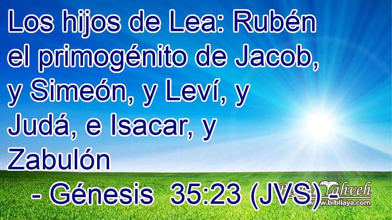 Los hijos de Lea: Rubén el primogénito de Jacob, y Simeón, y Leví, y Judá, e Isacar, y Zabulón