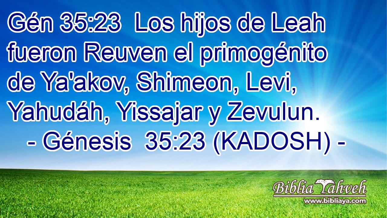  Los hijos de Leah fueron Reuven el primogénito de Ya'akov, Shimeon, Levi, Yahudáh, Yissajar y Zevulun. 
