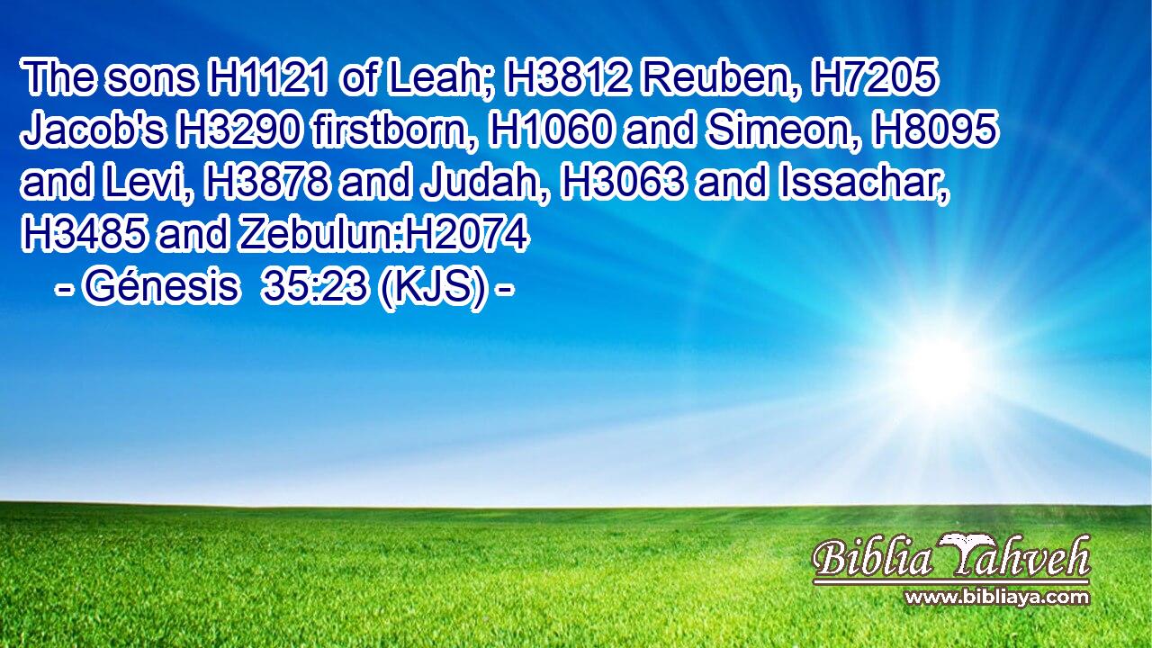 The sons H1121 of Leah; H3812 Reuben, H7205 Jacob's H3290 firstborn, H1060 and Simeon, H8095 and Levi, H3878 and Judah, H3063 and Issachar, H3485 and Zebulun:H2074