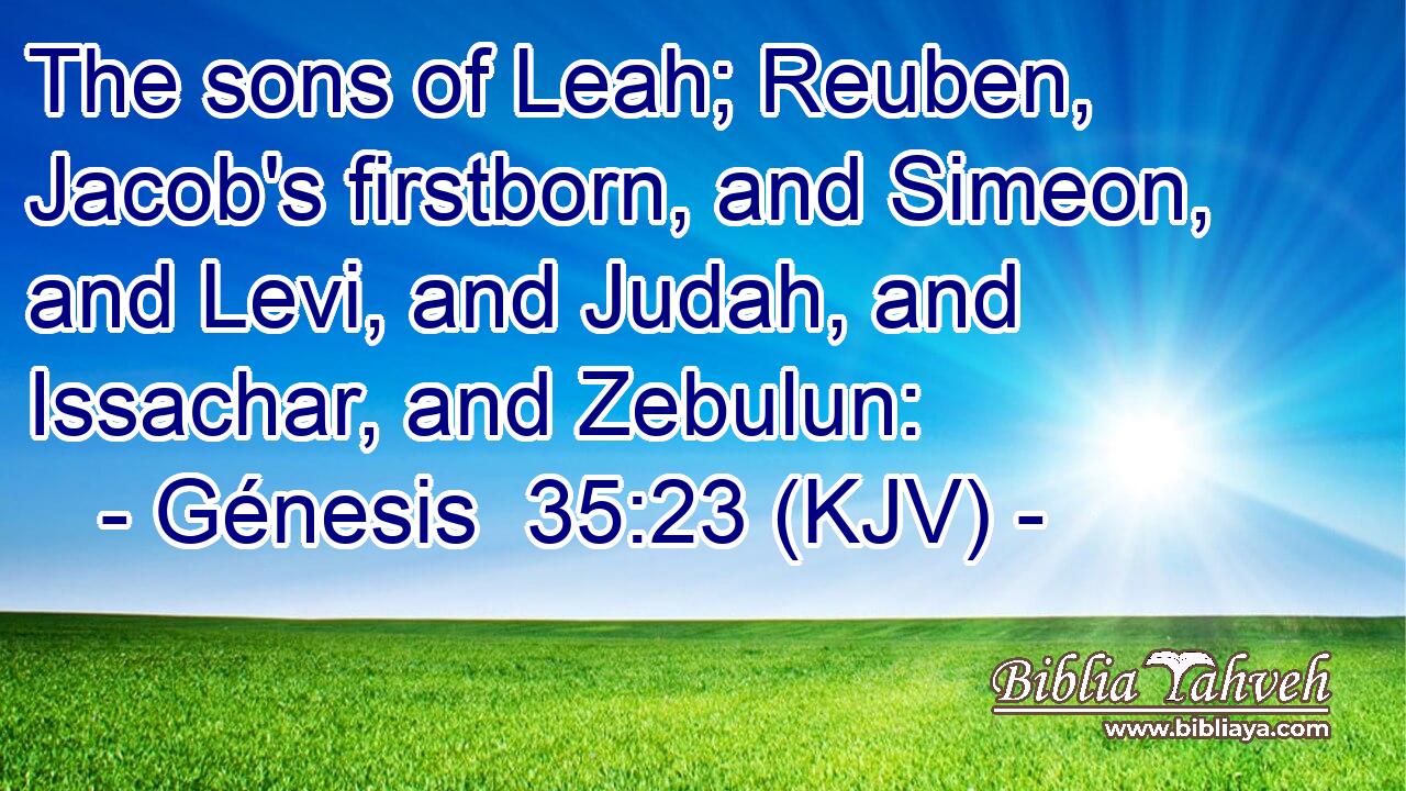 The sons of Leah; Reuben, Jacob's firstborn, and Simeon, and Levi, and Judah, and Issachar, and Zebulun: