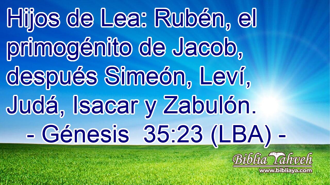 Hijos de Lea: Rubén, el primogénito de Jacob, después Simeón, Leví, Judá, Isacar y Zabulón.