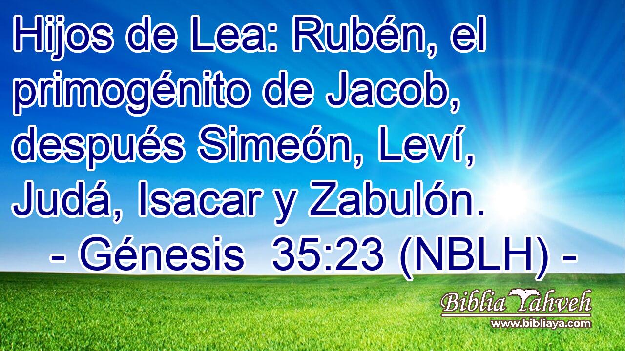  Hijos de Lea: Rubén, el primogénito de Jacob, después Simeón, Leví, Judá, Isacar y Zabulón. 