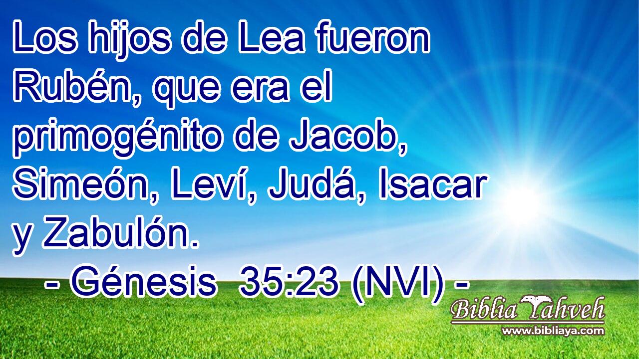  Los hijos de Lea fueron Rubén, que era el primogénito de Jacob, Simeón, Leví, Judá, Isacar y Zabulón. 