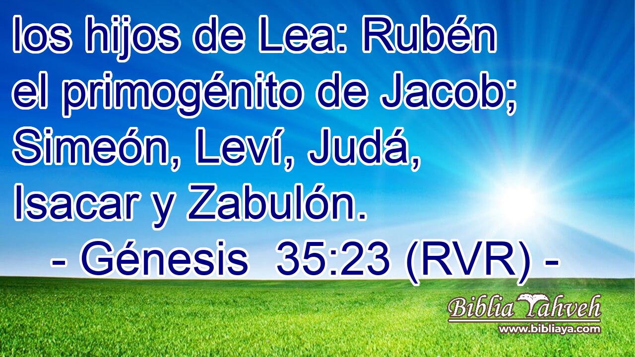 los hijos de Lea: Rubén el primogénito de Jacob; Simeón, Leví, Judá, Isacar y Zabulón.