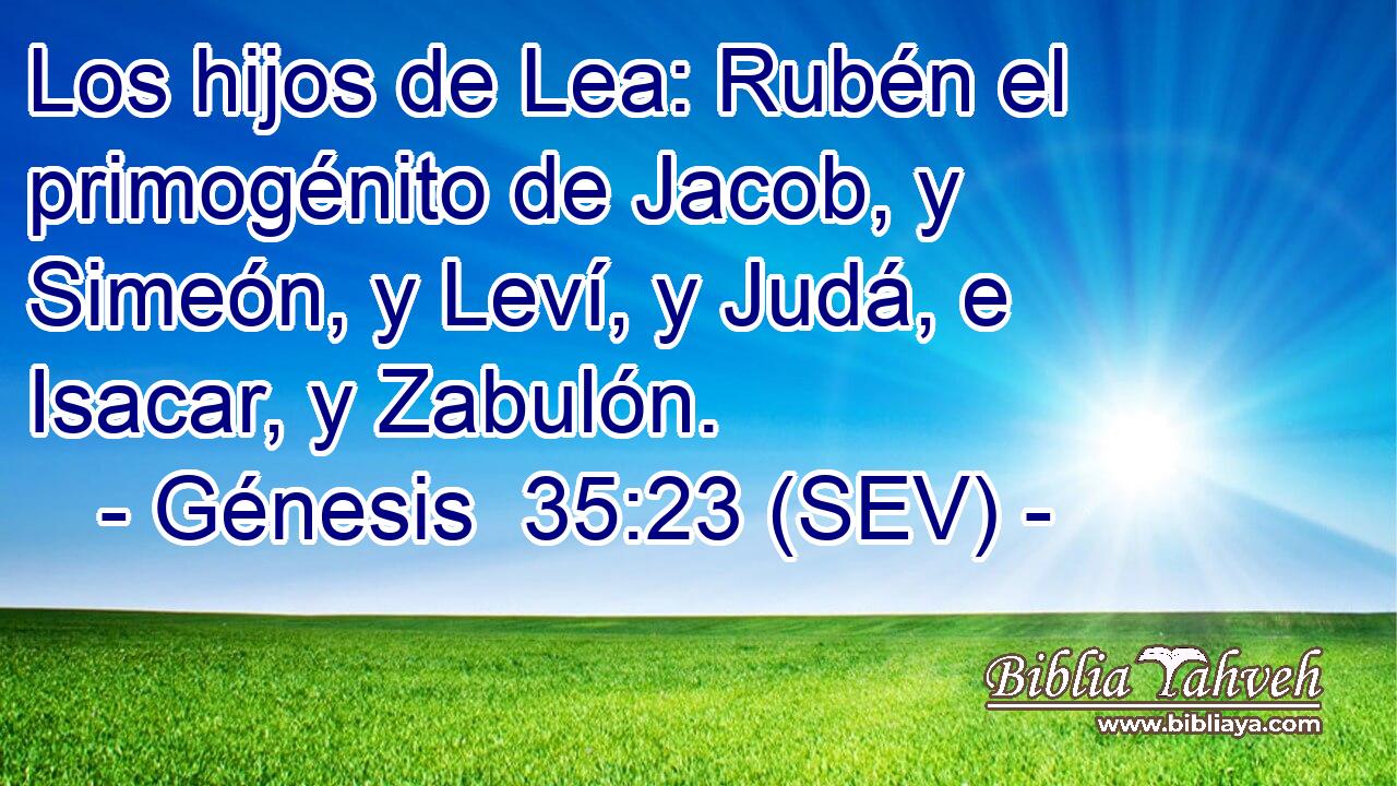 Los hijos de Lea: Rubén el primogénito de Jacob, y Simeón, y Leví, y Judá, e Isacar, y Zabulón.
