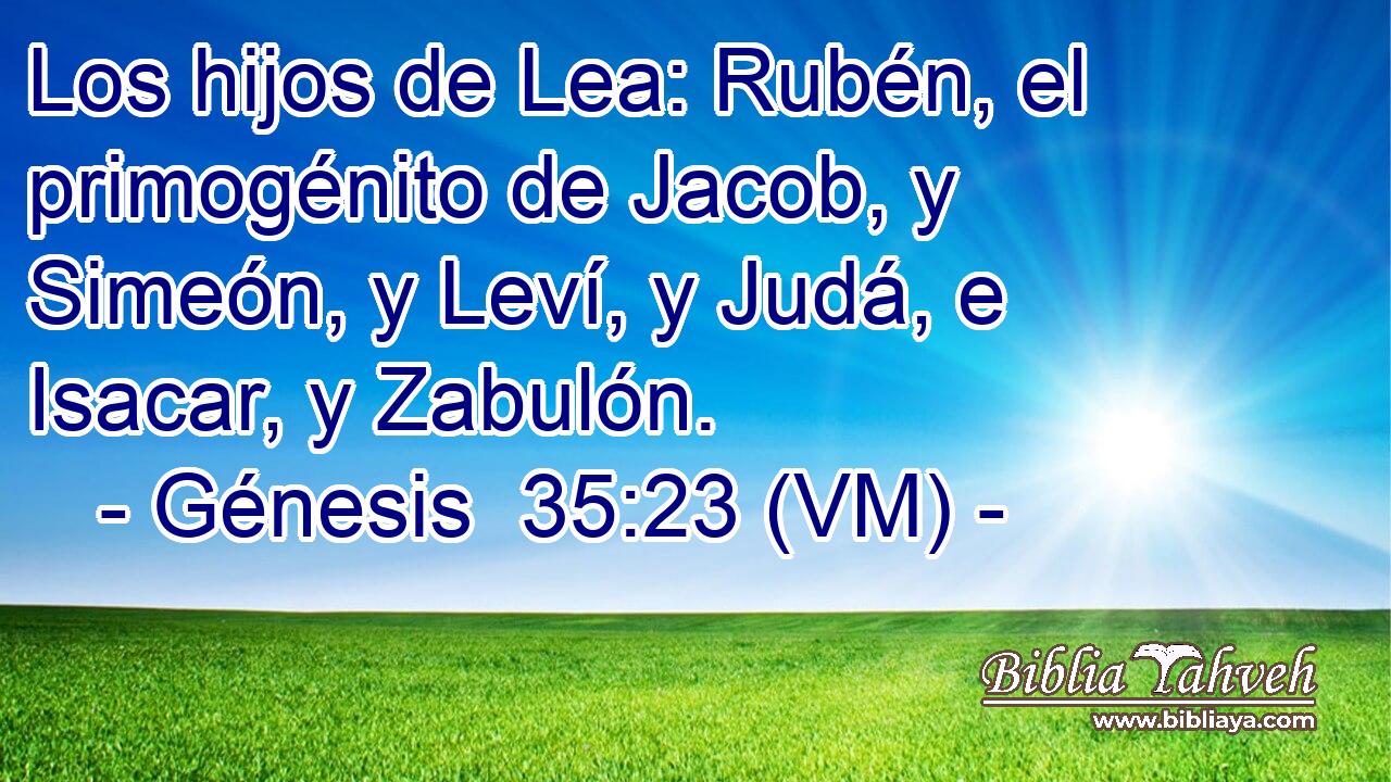  Los hijos de Lea: Rubén, el primogénito de Jacob, y Simeón, y Leví, y Judá, e Isacar, y Zabulón. 