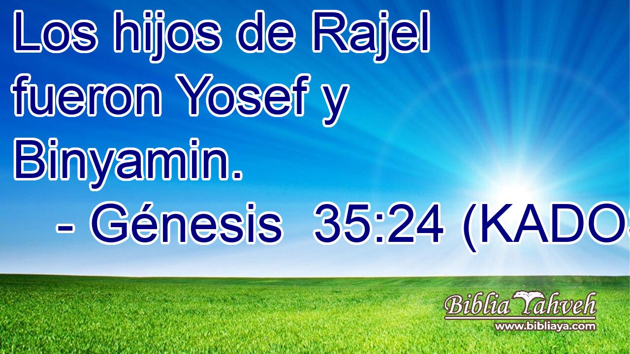  Los hijos de Rajel fueron Yosef y Binyamin. 