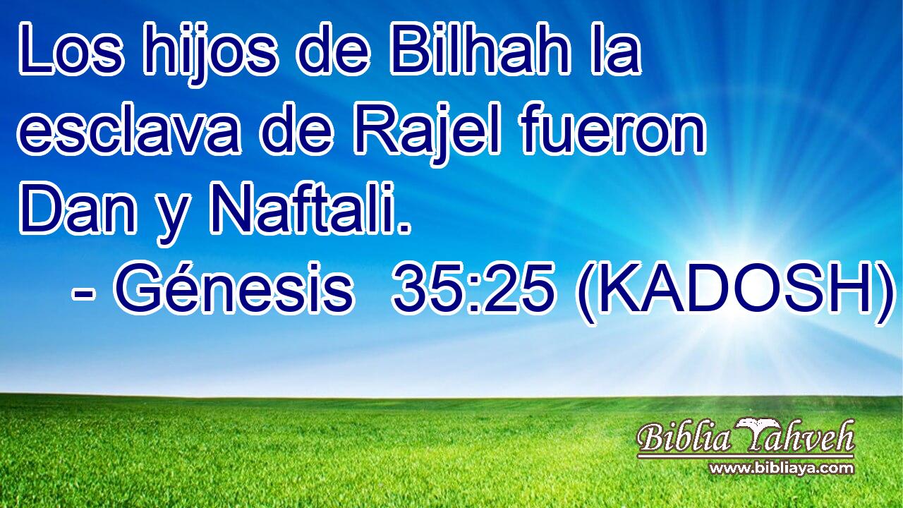 Los hijos de Bilhah la esclava de Rajel fueron Dan y Naftali. 