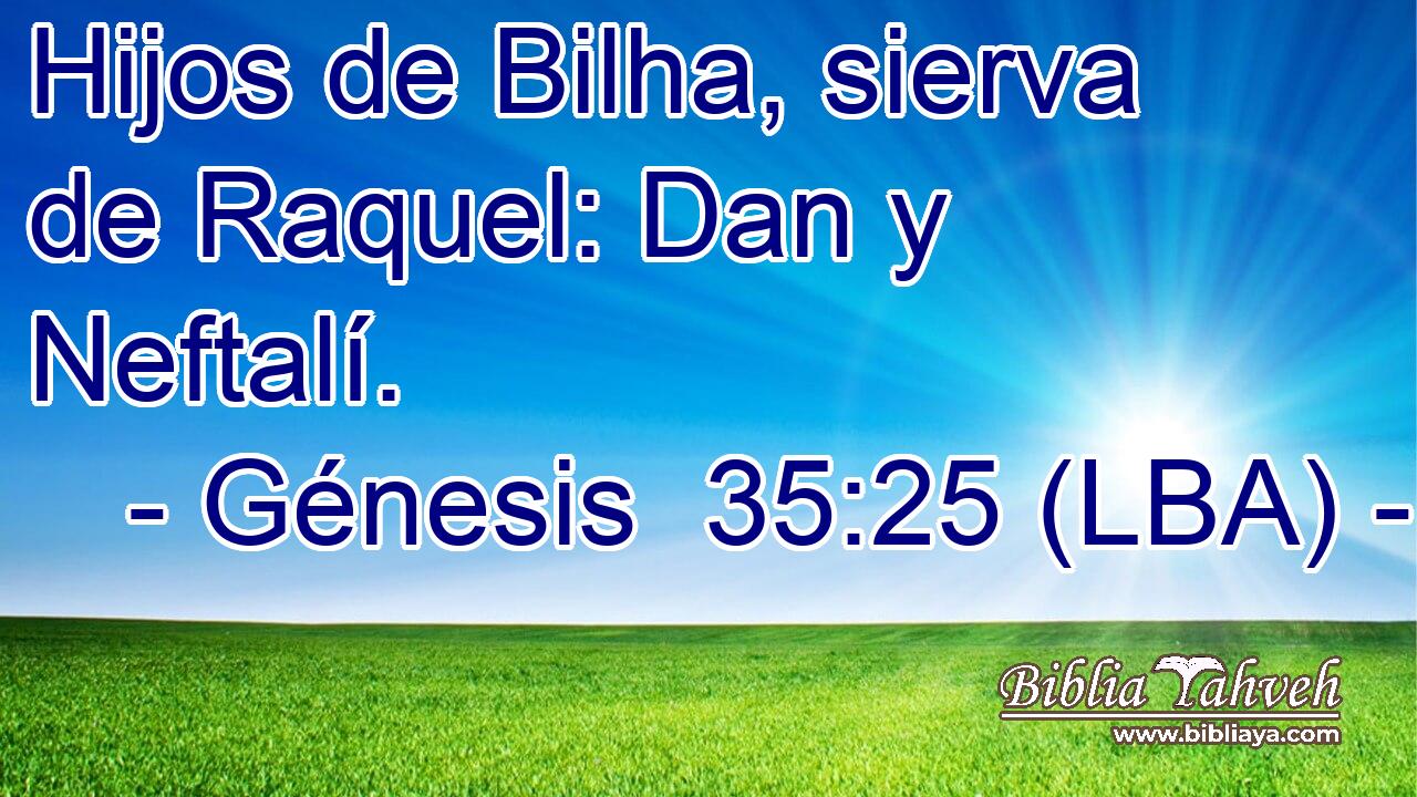 Hijos de Bilha, sierva de Raquel: Dan y Neftalí.