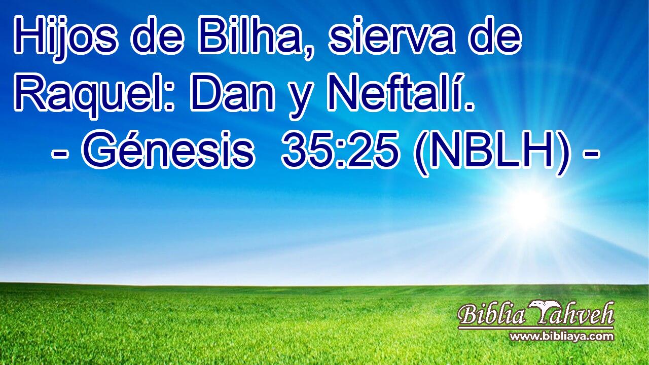  Hijos de Bilha, sierva de Raquel: Dan y Neftalí. 