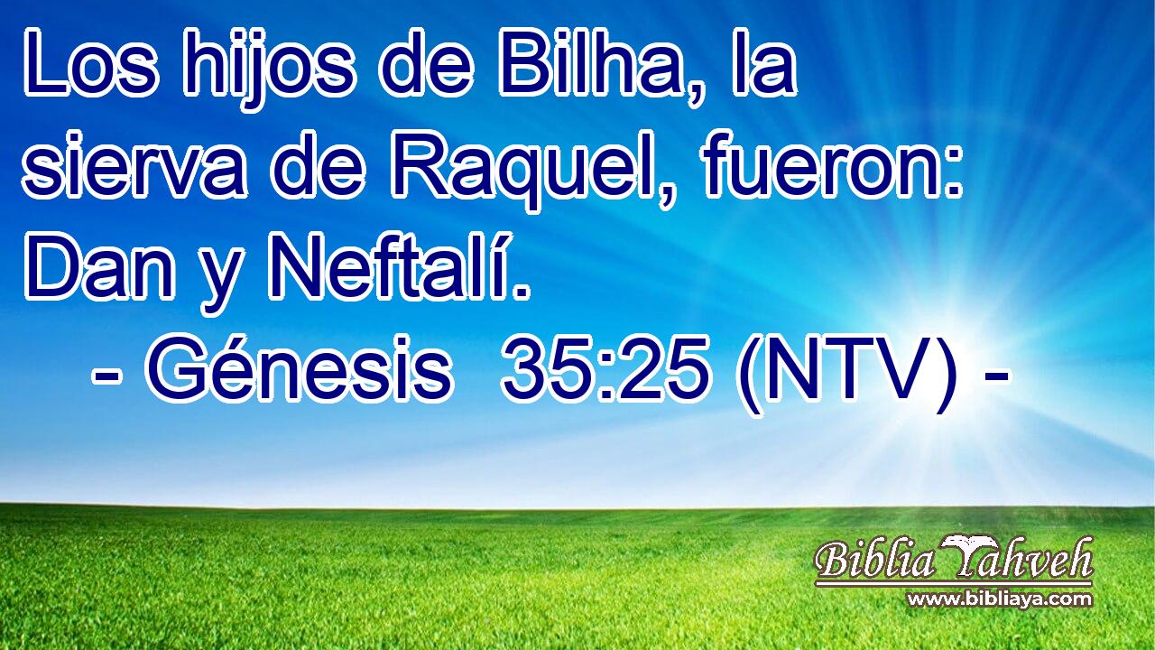Los hijos de Bilha, la sierva de Raquel, fueron: Dan y Neftalí.
