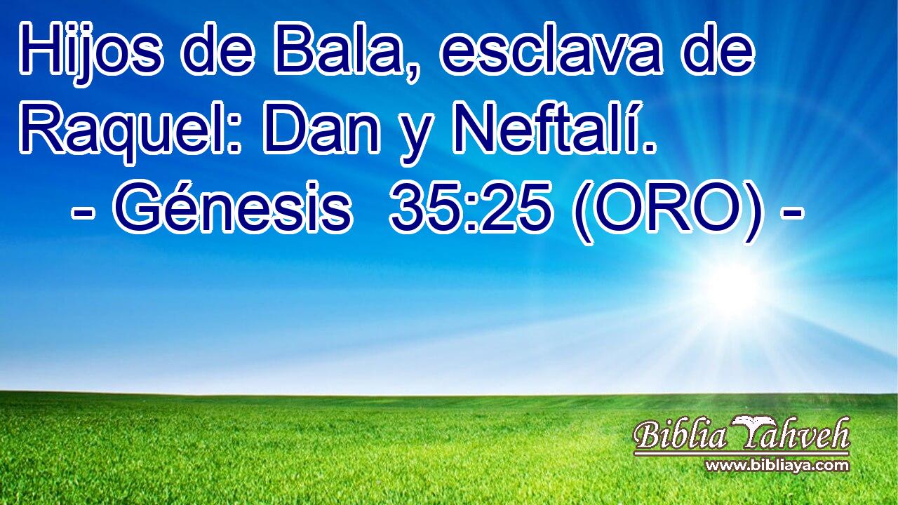  Hijos de Bala, esclava de Raquel: Dan y Neftalí. 