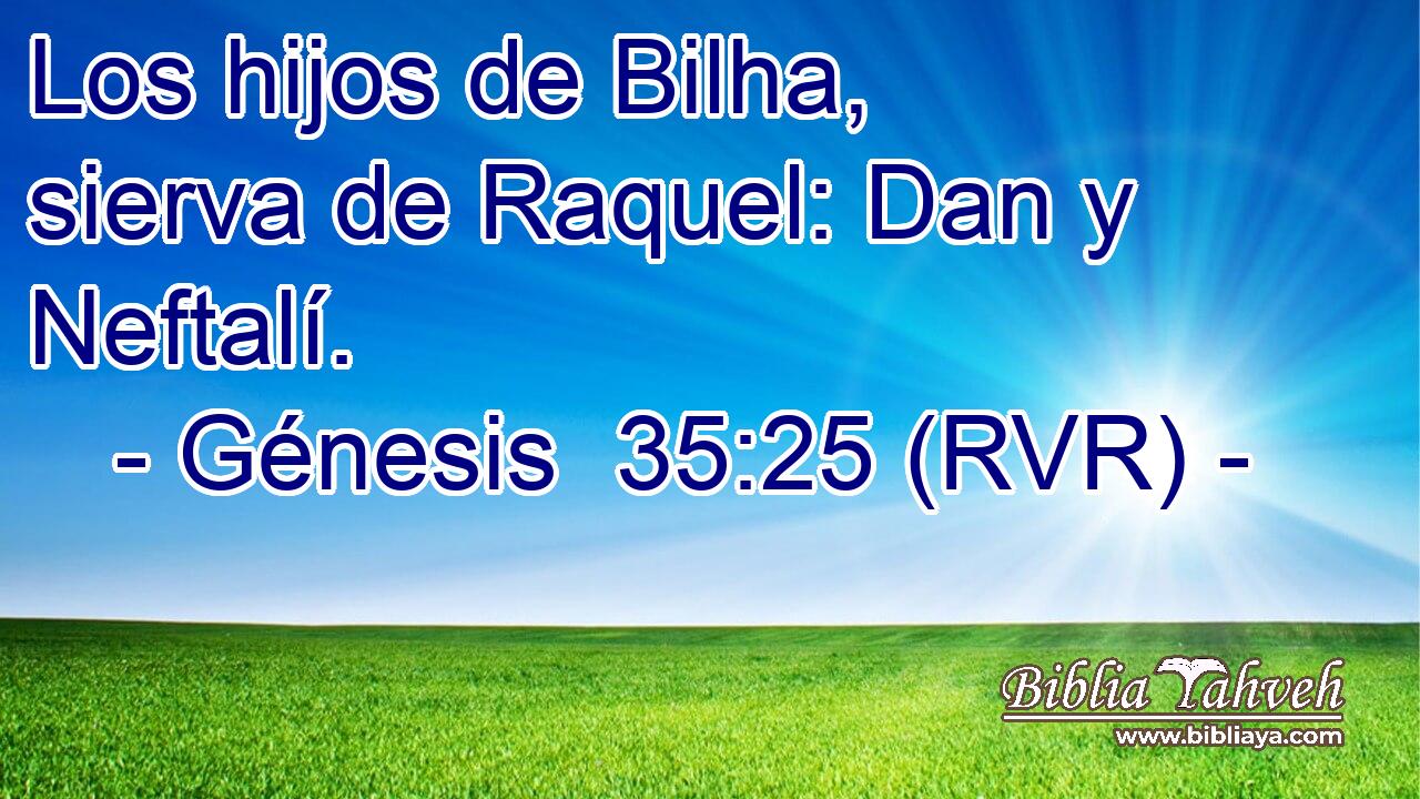 Los hijos de Bilha, sierva de Raquel: Dan y Neftalí.