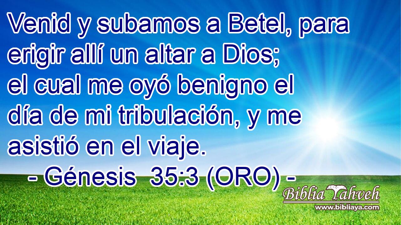  Venid y subamos a Betel, para erigir allí un altar a Dios; el cual me oyó benigno el día de mi tribulación, y me asistió en el viaje. 