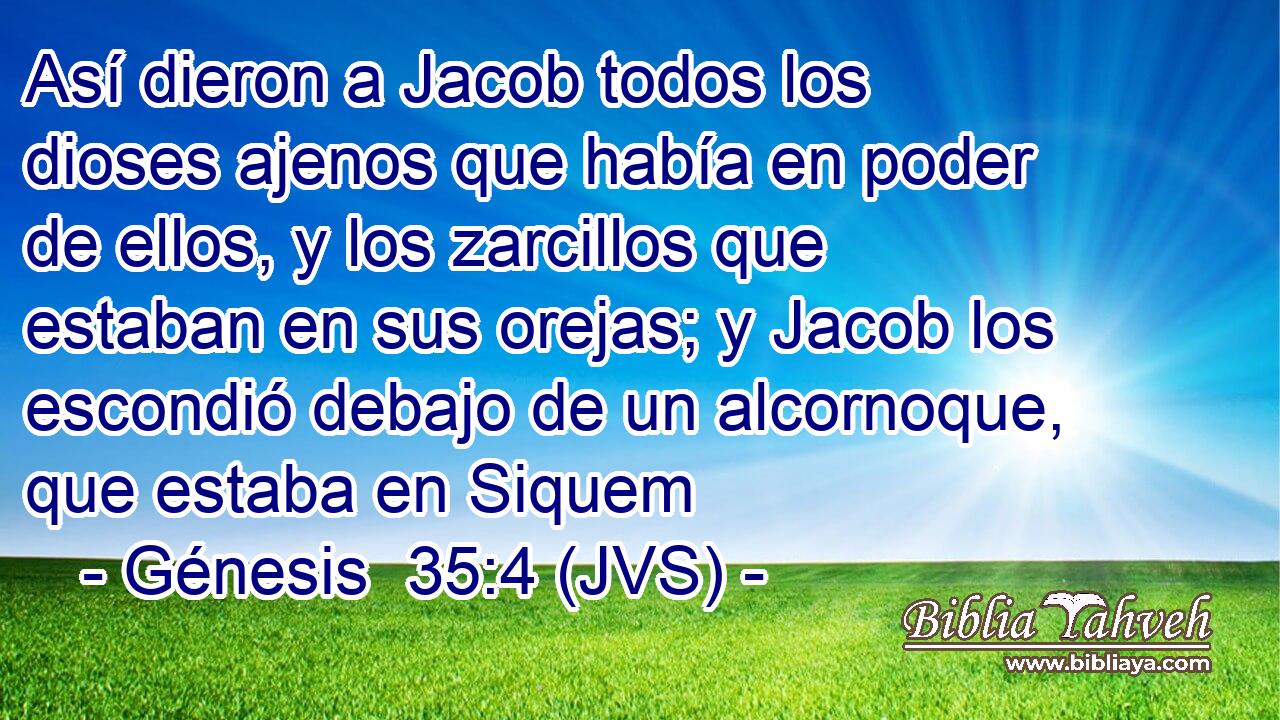Así dieron a Jacob todos los dioses ajenos que había en poder de ellos, y los zarcillos que estaban en sus orejas; y Jacob los escondió debajo de un alcornoque, que estaba en Siquem