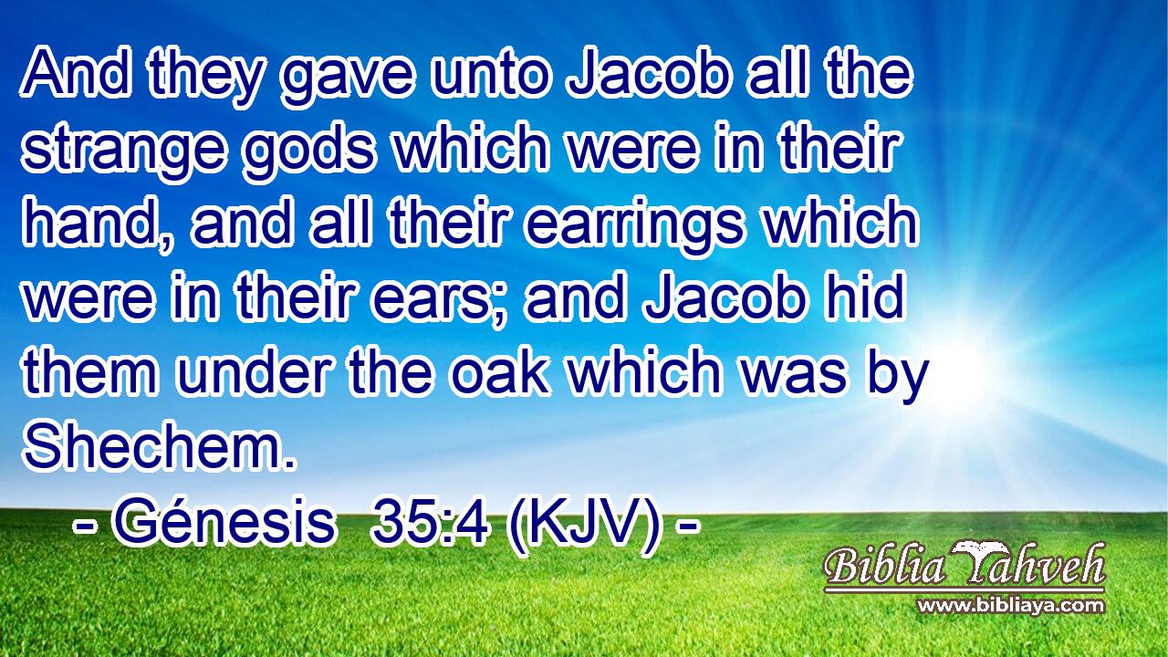And they gave unto Jacob all the strange gods which were in their hand, and all their earrings which were in their ears; and Jacob hid them under the oak which was by Shechem.