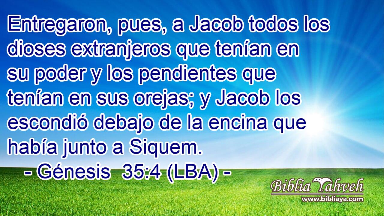 Entregaron, pues, a Jacob todos los dioses extranjeros que tenían en su poder y los pendientes que tenían en sus orejas; y Jacob los escondió debajo de la encina que había junto a Siquem.