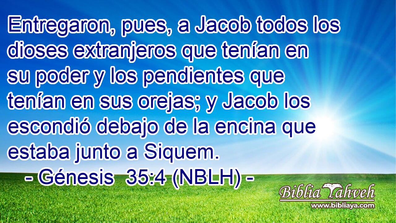  Entregaron, pues, a Jacob todos los dioses extranjeros que tenían en su poder y los pendientes que tenían en sus orejas; y Jacob los escondió debajo de la encina que estaba junto a Siquem. 