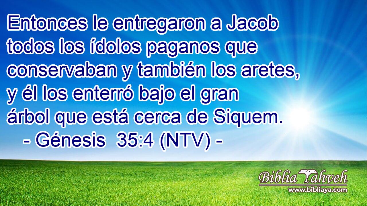 Entonces le entregaron a Jacob todos los ídolos paganos que conservaban y también los aretes, y él los enterró bajo el gran árbol que está cerca de Siquem.
