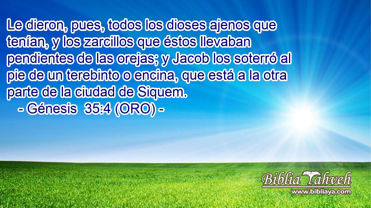  Le dieron, pues, todos los dioses ajenos que tenían, y los zarcillos que éstos llevaban pendientes de las orejas; y Jacob los soterró al pie de un terebinto o encina, que está a la otra parte de la ciudad de Siquem. 